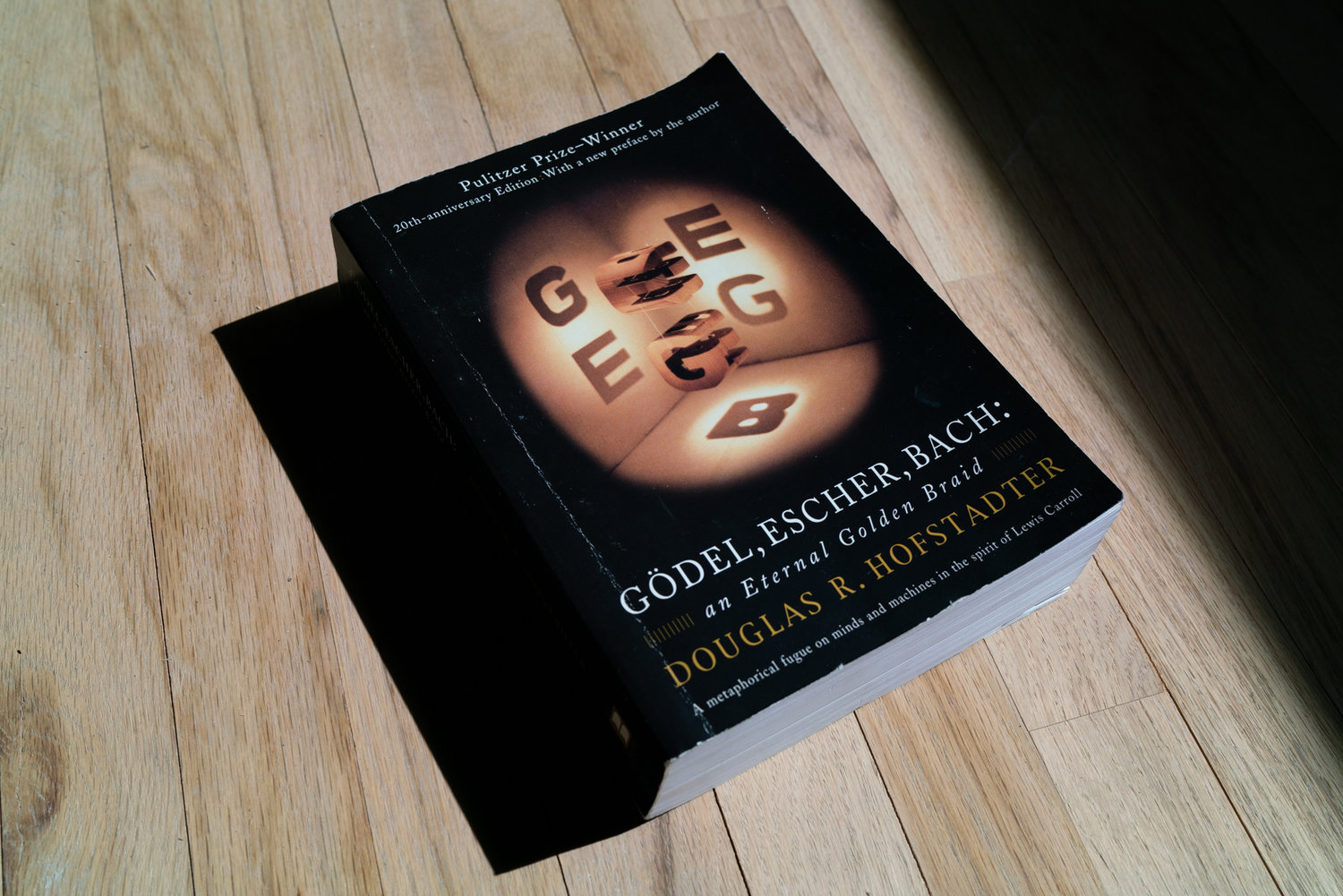 A photo of Gödel, Escher, Bach.