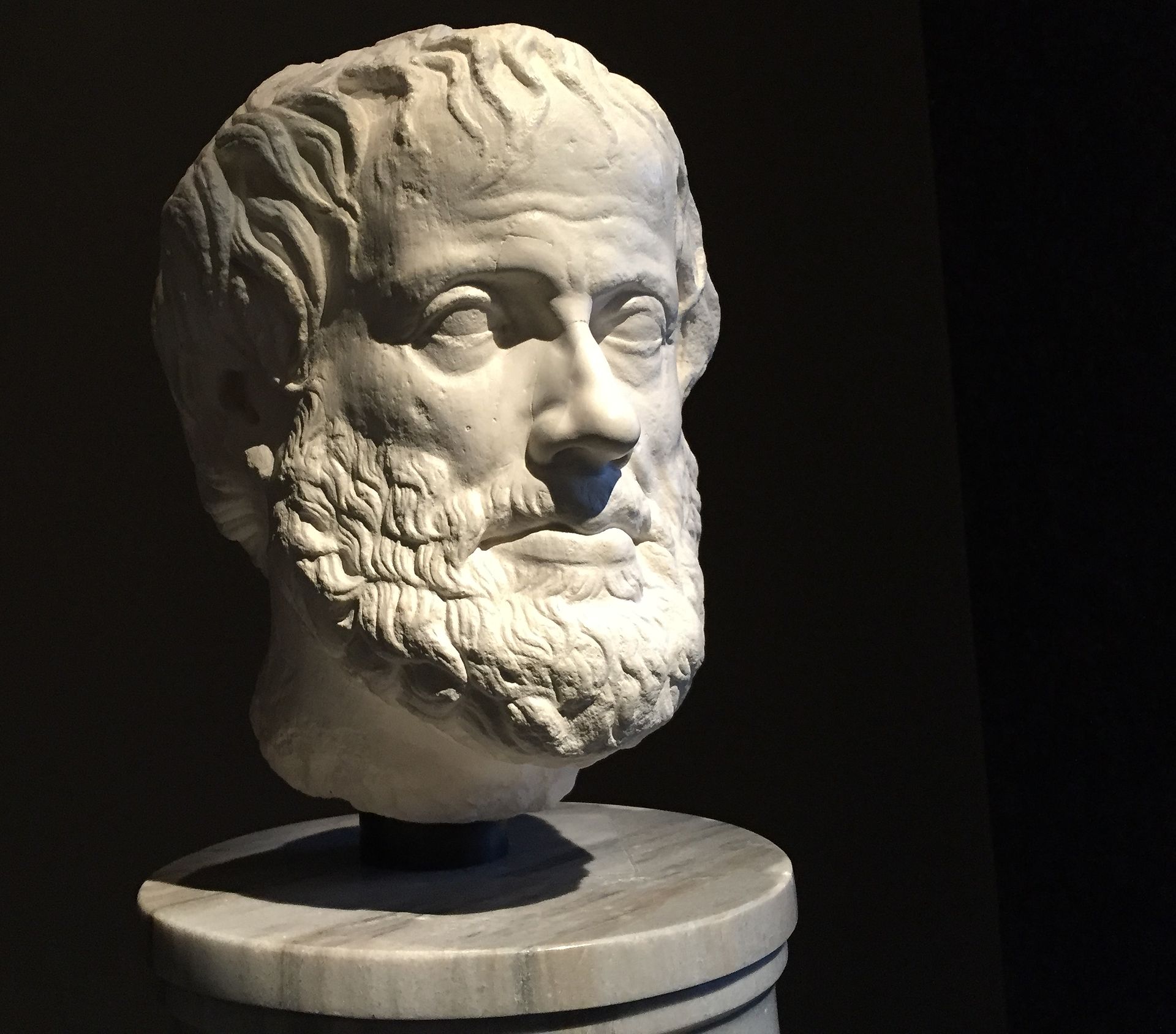 The bust of Aristotle from a Roman copy