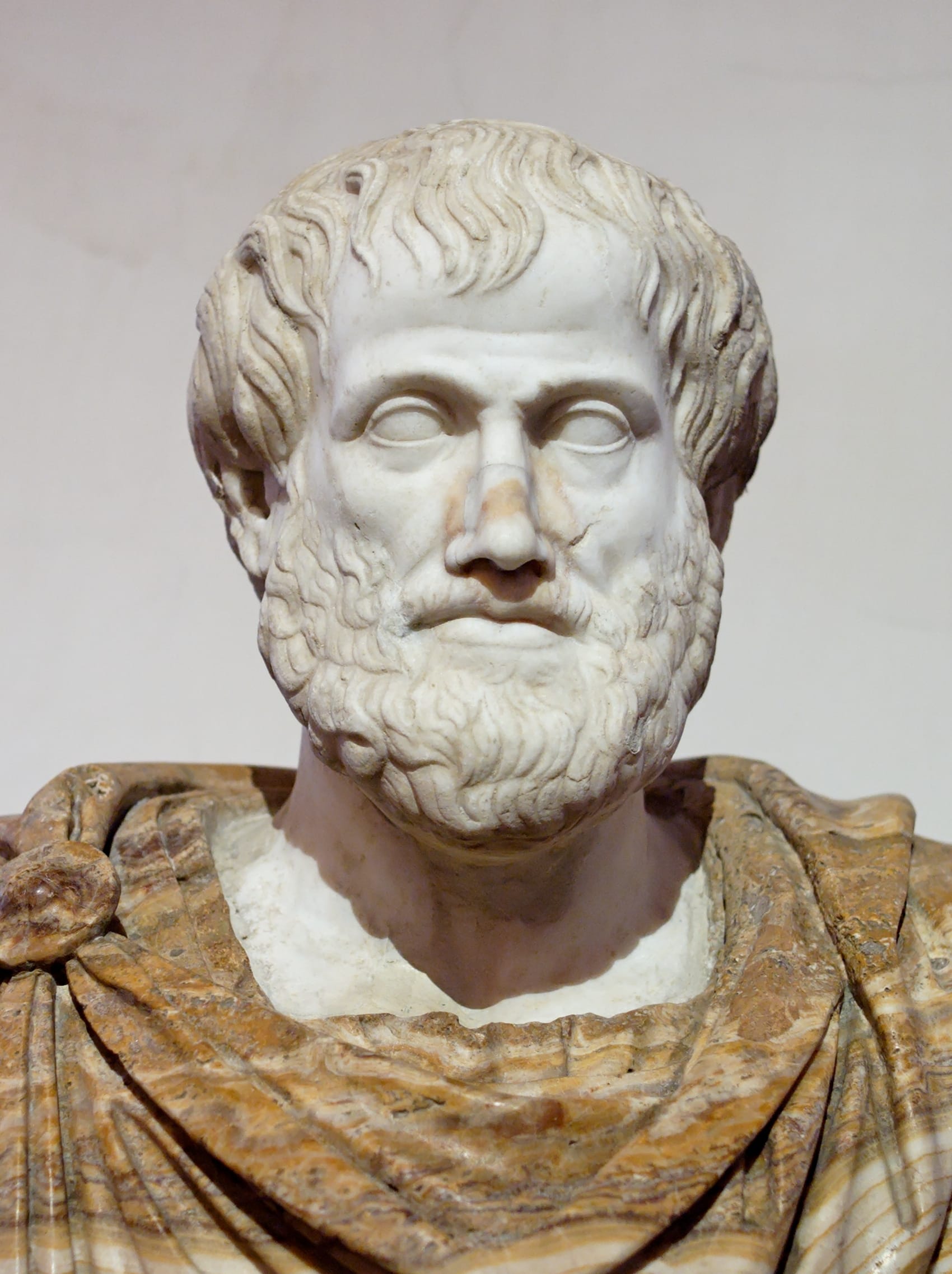 A bust of Aristotle.